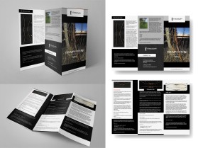 Brochure Design entry 2227977 submitted by omart studio
