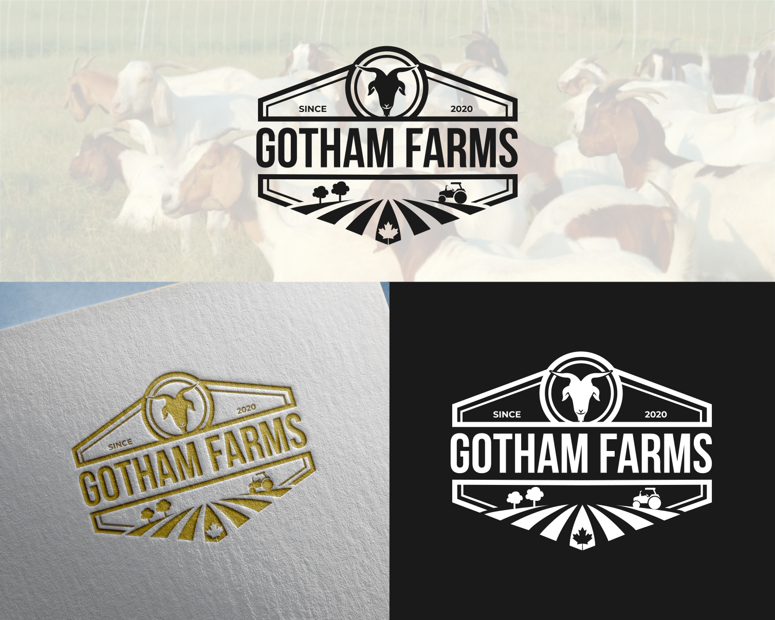Logo Design entry 2156030 submitted by baroqart to the Logo Design for Gotham Farms run by gothamfarms