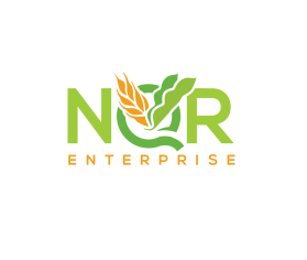 Logo Design Entry 2164140 submitted by denina to the contest for NQR Enterprises run by Matt.geinert@gmail.com