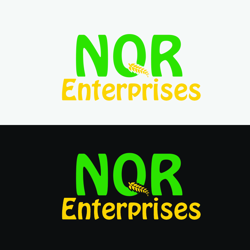 Logo Design entry 2164153 submitted by James1997 to the Logo Design for NQR Enterprises run by Matt.geinert@gmail.com
