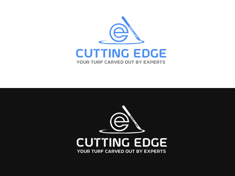 Logo Design entry 2272094 submitted by Naziur rahman