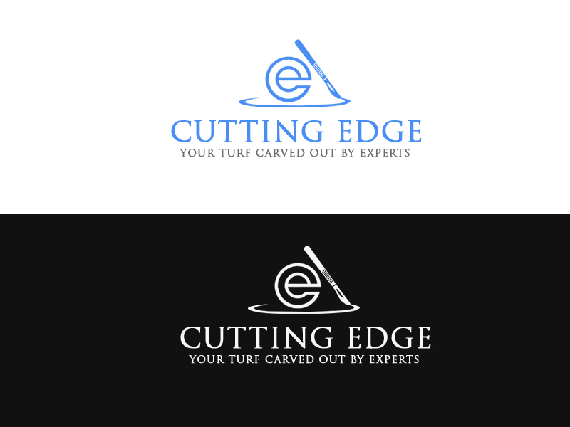 Logo Design entry 2272095 submitted by Naziur rahman