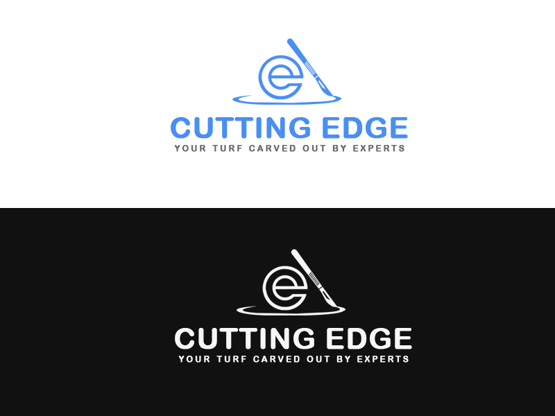 Logo Design entry 2272096 submitted by Naziur rahman