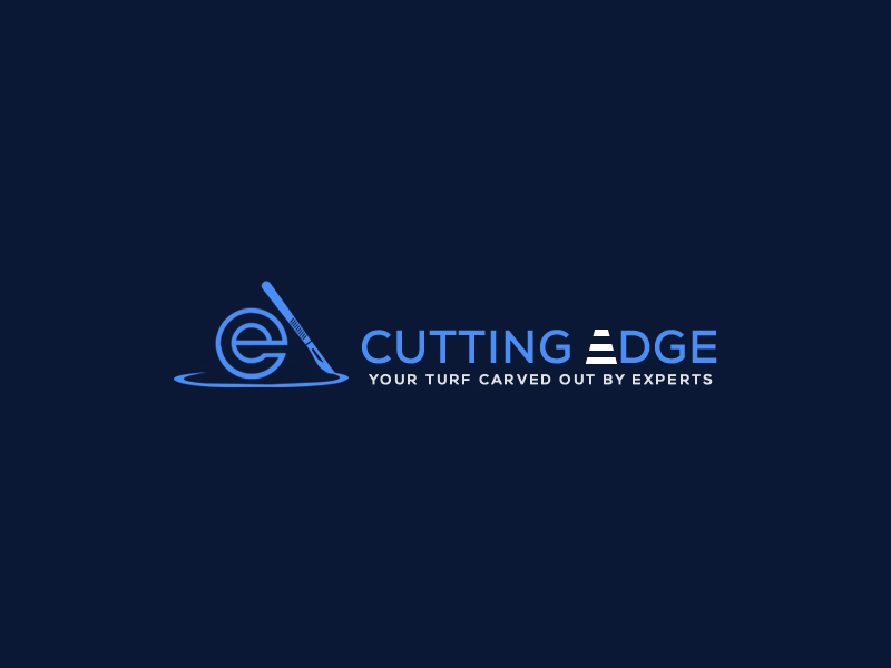 Logo Design entry 2272098 submitted by Naziur rahman