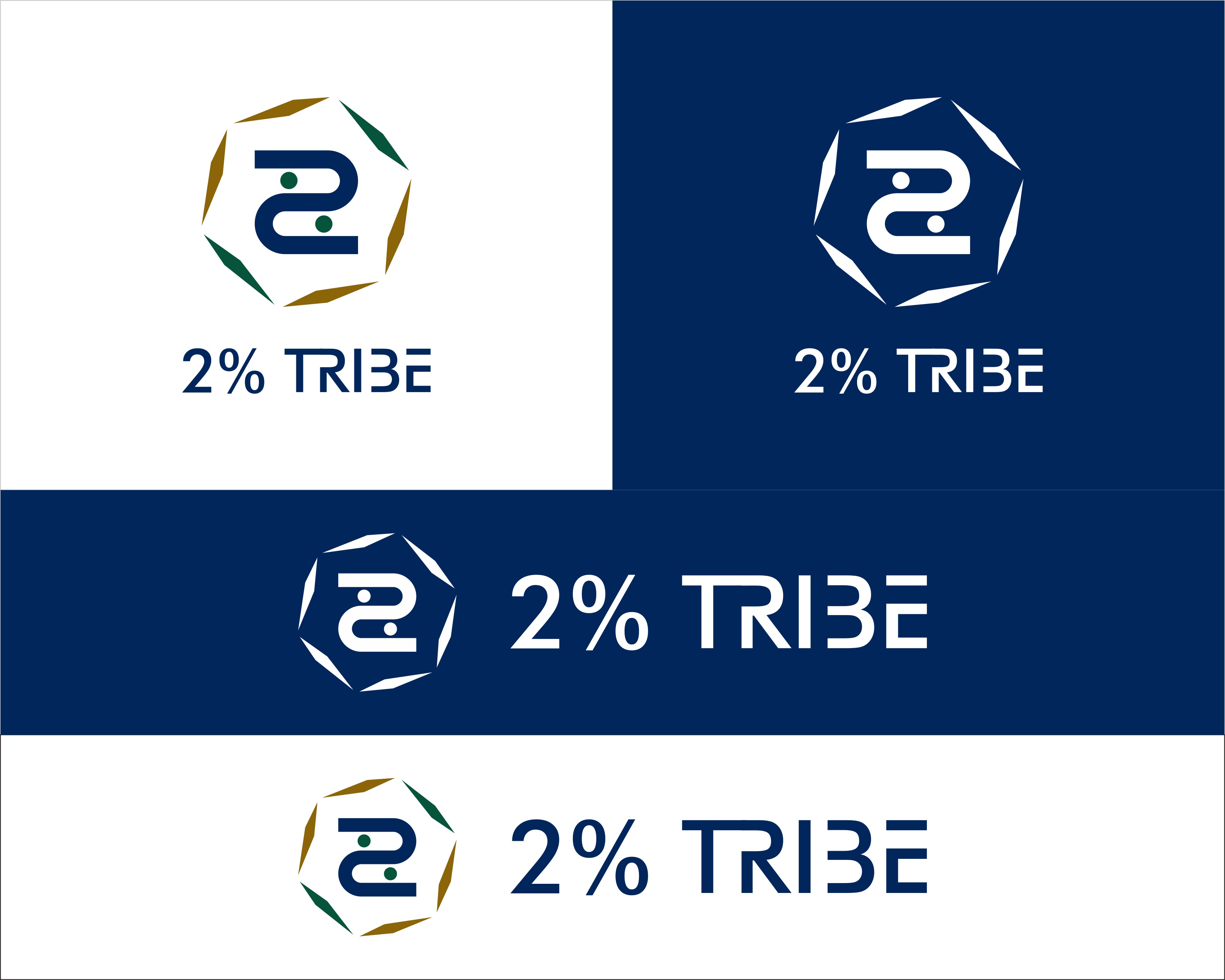 Logo Design entry 2208878 submitted by Jalal46 to the Logo Design for 2% Tribe run by RuddyOrtiz