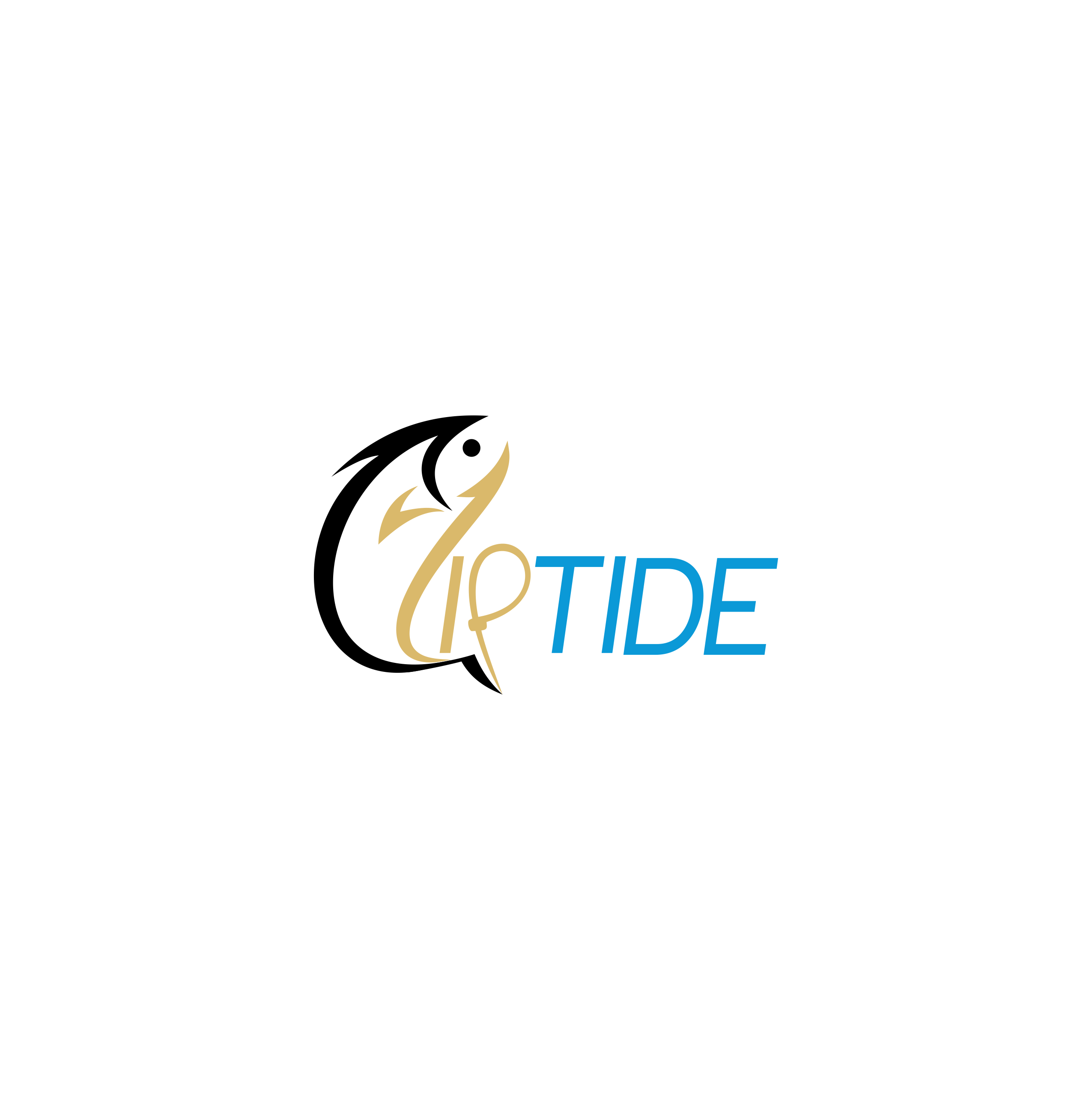 Logo Design entry 2213706 submitted by DENAYA to the Logo Design for Ziptide run by DresserMedia