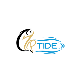 Logo Design entry 2213707 submitted by Armchtrm to the Logo Design for Ziptide run by DresserMedia