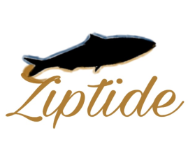 Logo Design Entry 2213737 submitted by Anirbans84 to the contest for Ziptide run by DresserMedia