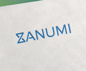 Logo Design entry 2223729 submitted by nemo to the Logo Design for Zanumi run by tbastea