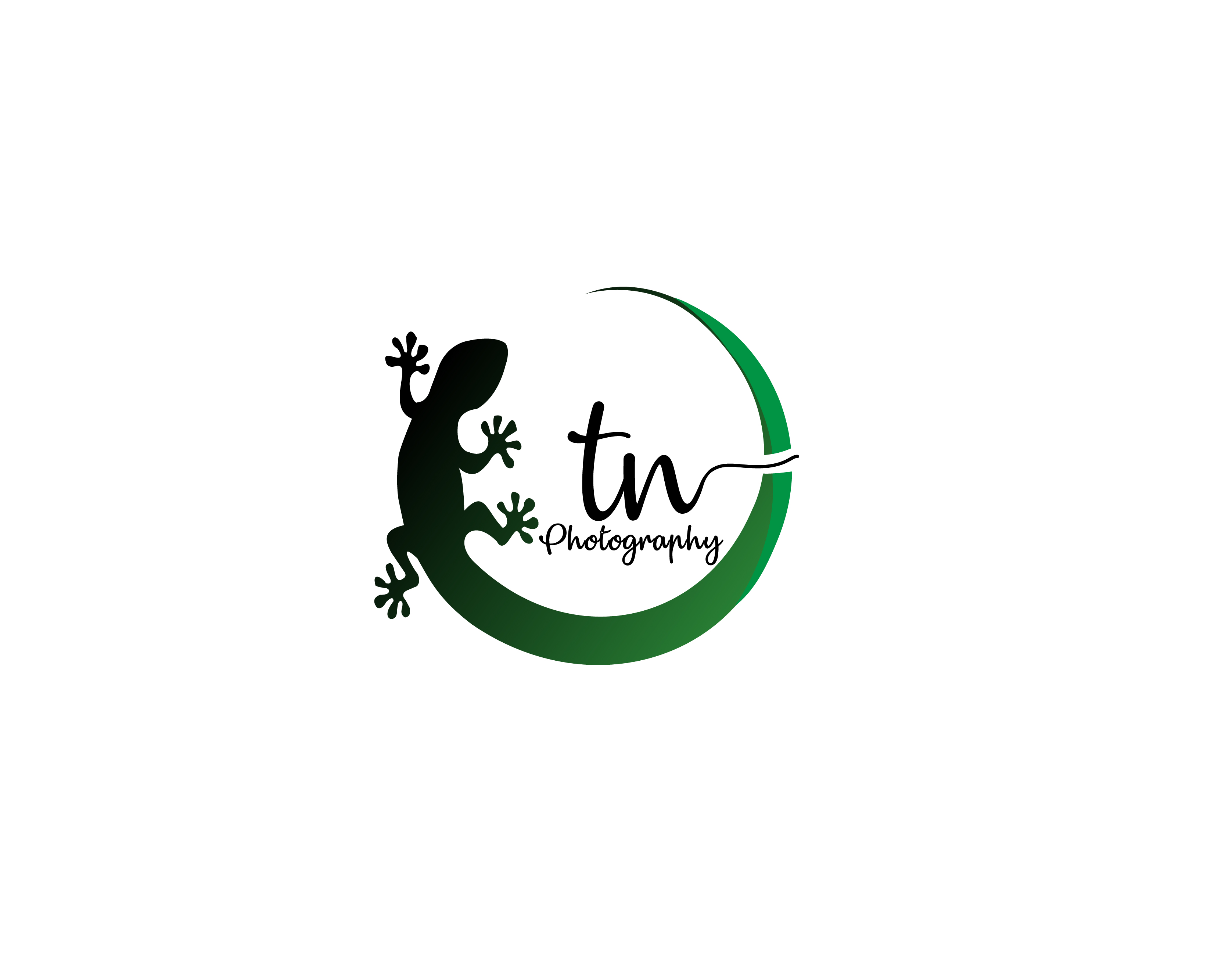 Logo Design entry 2309252 submitted by designershrutisingh to the Logo Design for TN run by randal_138