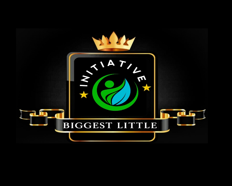 Logo Design Entry 2351326 submitted by PRINCE0000 to the contest for Biggest Little Initiative run by kmuch