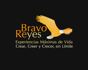Logo Design entry 125333 submitted by webarba to the Logo Design for Reyes Bravo run by lilianacrismar