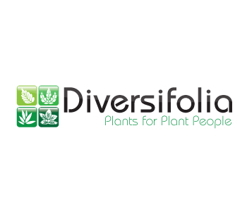 Logo Design Entry 282438 submitted by churpo to the contest for DIVERSIFOLIA LLC run by jmveil