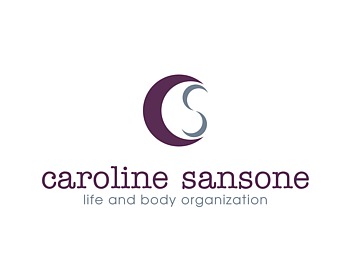 Logo Design entry 303587 submitted by eShopDesigns to the Logo Design for carolinesansone.com run by carriesan
