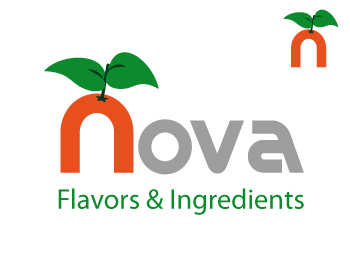 Logo Design Entry 334235 submitted by castiza to the contest for Nova Flavors & Ingredients run by Henry Rosset