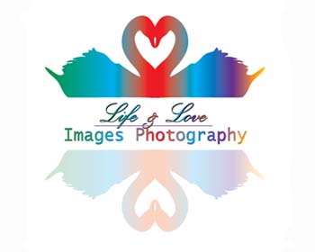 Logo Design entry 371652 submitted by Sunrise
