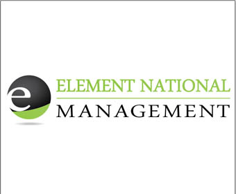 Logo Design entry 508230 submitted by 3434343434 to the Logo Design for Element  National Management run by elementmgt
