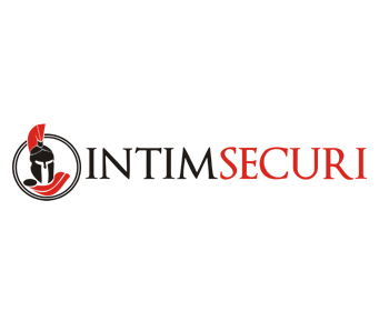 Logo Design entry 550124 submitted by kuzuma to the Logo Design for intimsecuri.com run by solsurvivor