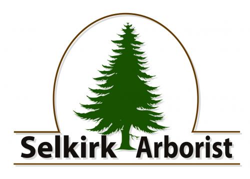 Logo Design Entry 42531 submitted by elandrya to the contest for Selkirk Arborist run by treeservice