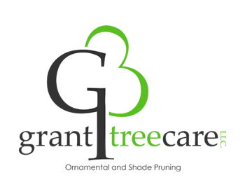 Logo Design entry 71347 submitted by mg2grafx to the Logo Design for Gant Tree Care run by trevor