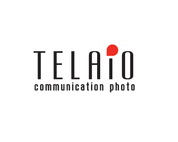 Logo Design Entry 637705 submitted by deesquared81 to the contest for telaio run by telaio