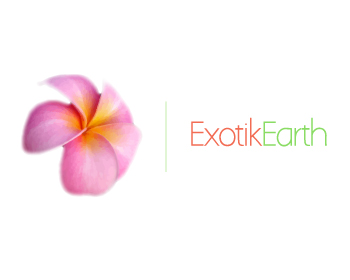 Logo Design Entry 660219 submitted by AbReQ to the contest for Exotik Earth run by TTDivine