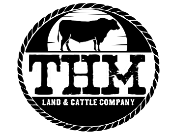 Logo Design entry 660446 submitted by buboy143 to the Logo Design for THM Land & Cattle Company run by ThmCattle