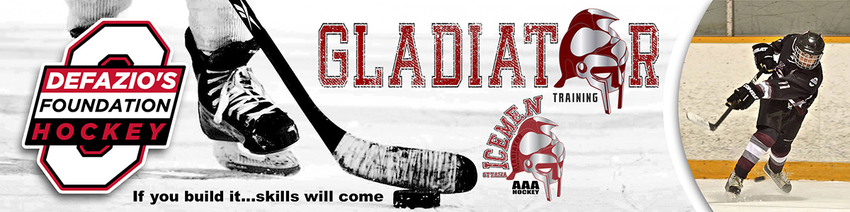 Banner Ad Design Entry 712381 submitted by Beneksz to the contest for http://www.foundationhockey.com/ run by dnsnetworks