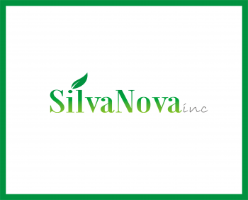 Logo Design entry 835457 submitted by tina_t to the Logo Design for SilvaNova run by rjdahlstrom