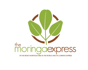 Logo Design entry 835925 submitted by tina_t to the Logo Design for Themoringaexpress run by Pete