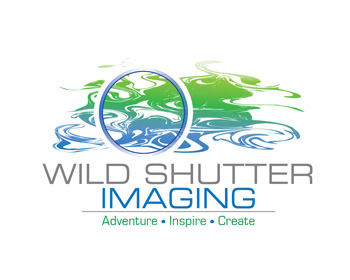 Logo Design Entry 894656 submitted by JMR2013 to the contest for Wild Shutter Imaging run by lburgh8910