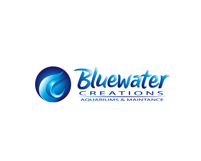 Logo Design entry 1014225 submitted by hegesanyi to the Logo Design for Bluewater Creations run by bwcllc