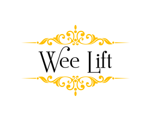 Logo Design entry 1059383 submitted by fathur to the Logo Design for weelift.com run by StakeholderGroup