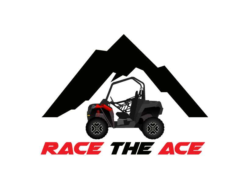 Logo Design Entry 1084833 submitted by wonchu to the contest for www.AceHubb.com run by kj_race87