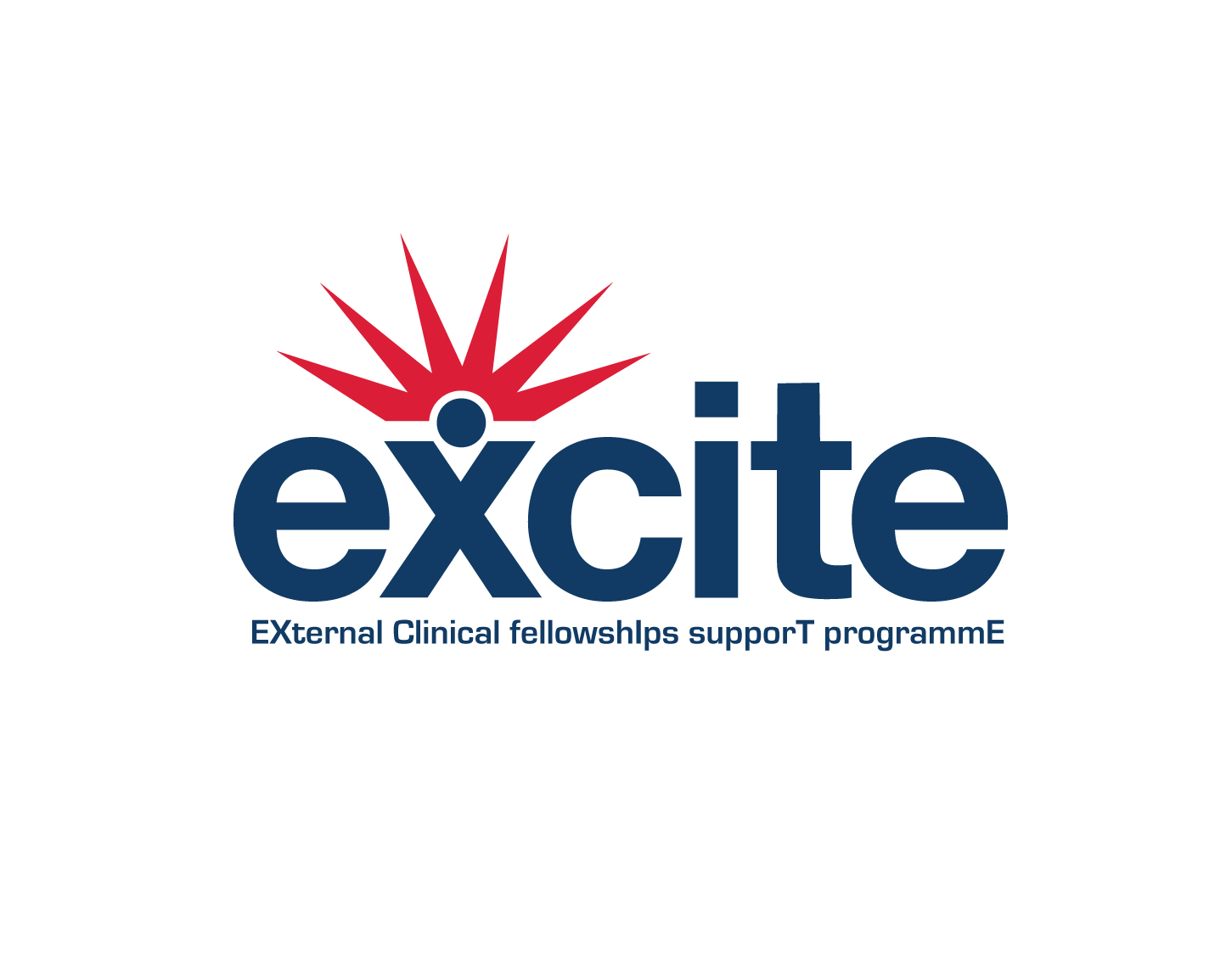 Logo Design entry 1150977 submitted by quimcey to the Logo Design for EXCITE: EXternal Clinical fellowshIps supporT programmE run by jdurham