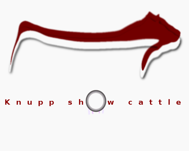 Logo Design Entry 1166000 submitted by Kevin Roddy to the contest for Knupp Show Cattle run by dknupp