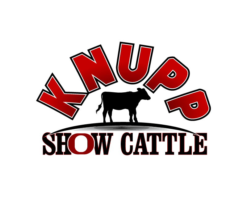Logo Design Entry 1166543 submitted by creditstothem to the contest for Knupp Show Cattle run by dknupp