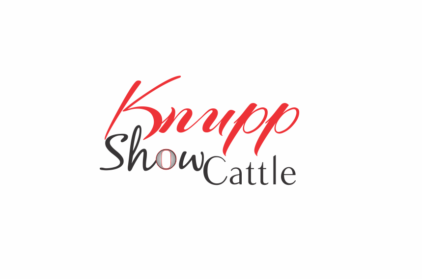 Logo Design Entry 1166881 submitted by syai to the contest for Knupp Show Cattle run by dknupp