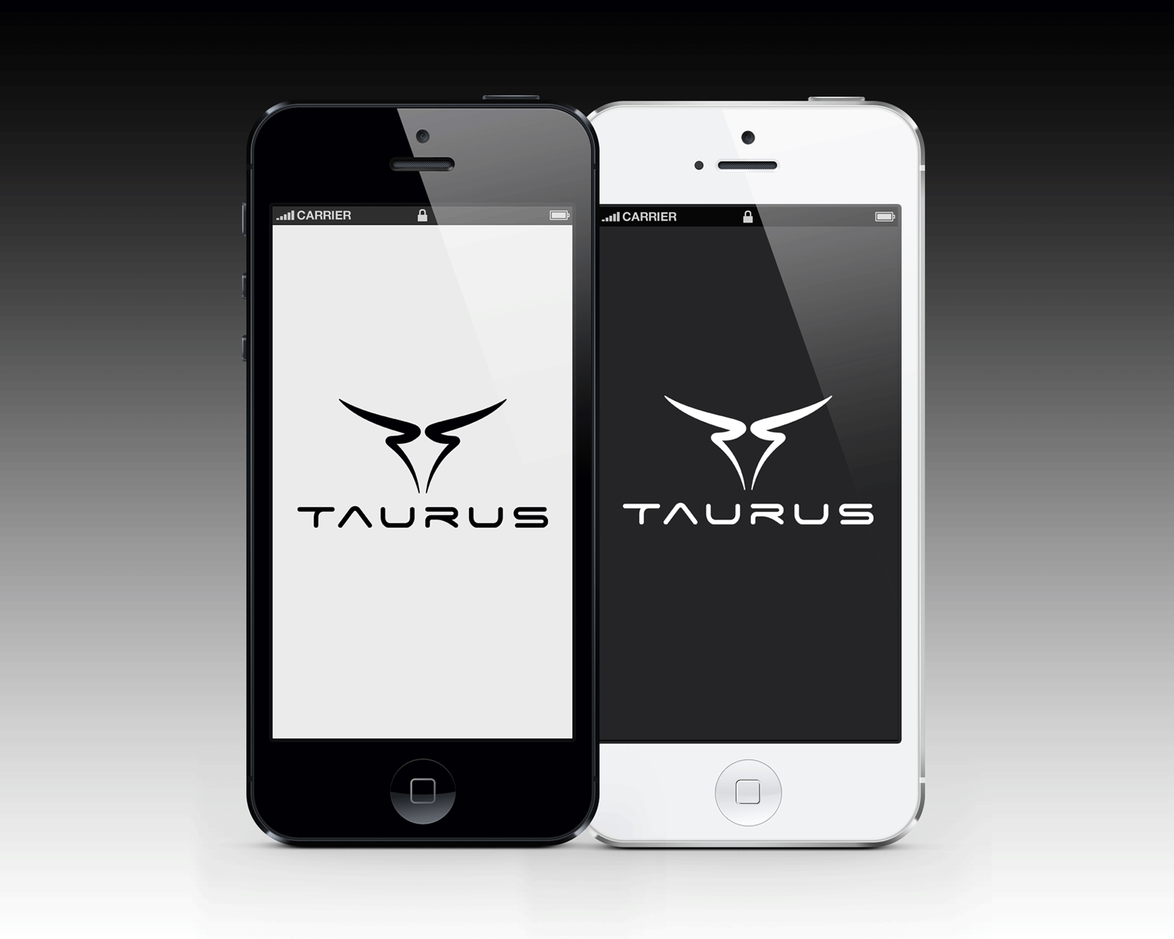 Logo Design Entry 1175162 submitted by LJPixmaker to the contest for Taurus run by FintechGroup