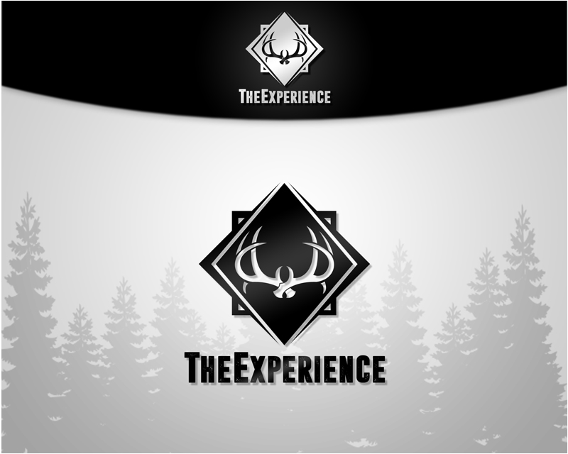 Logo Design Entry 1218733 submitted by babyakina to the contest for TheExperience run by jason_price