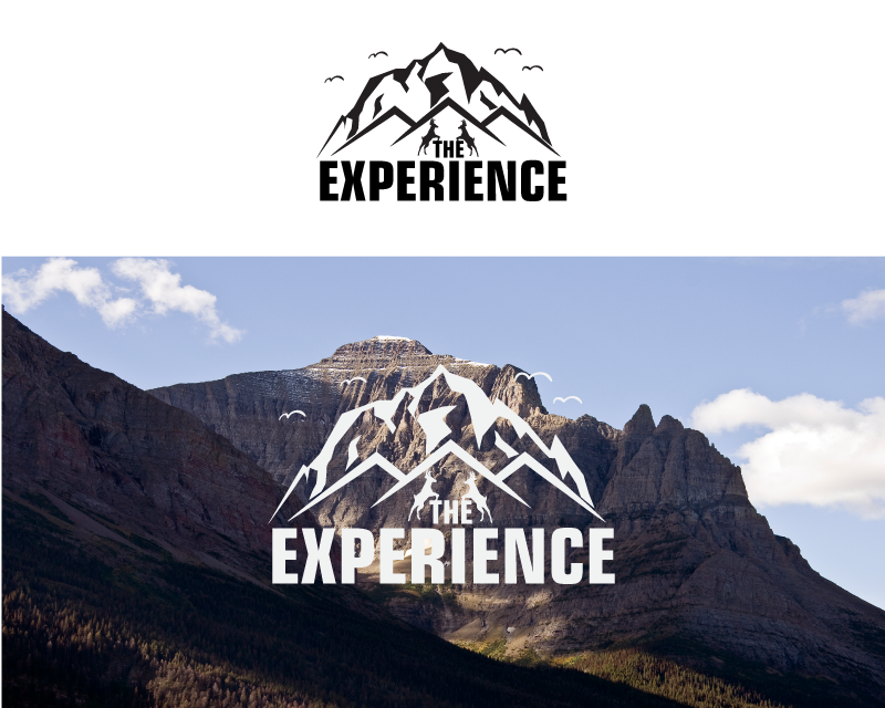 Logo Design Entry 1218862 submitted by Suren to the contest for TheExperience run by jason_price