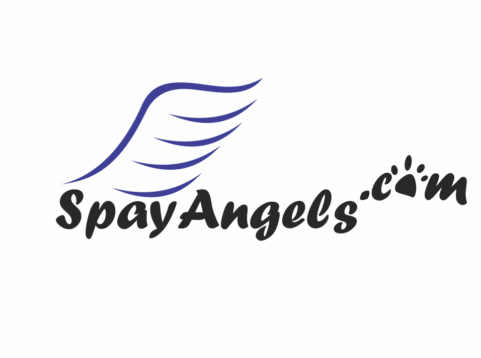 Logo Design Entry 1221807 submitted by Harianto to the contest for SpayAngels.com  or  Spay Angels  run by spayangels