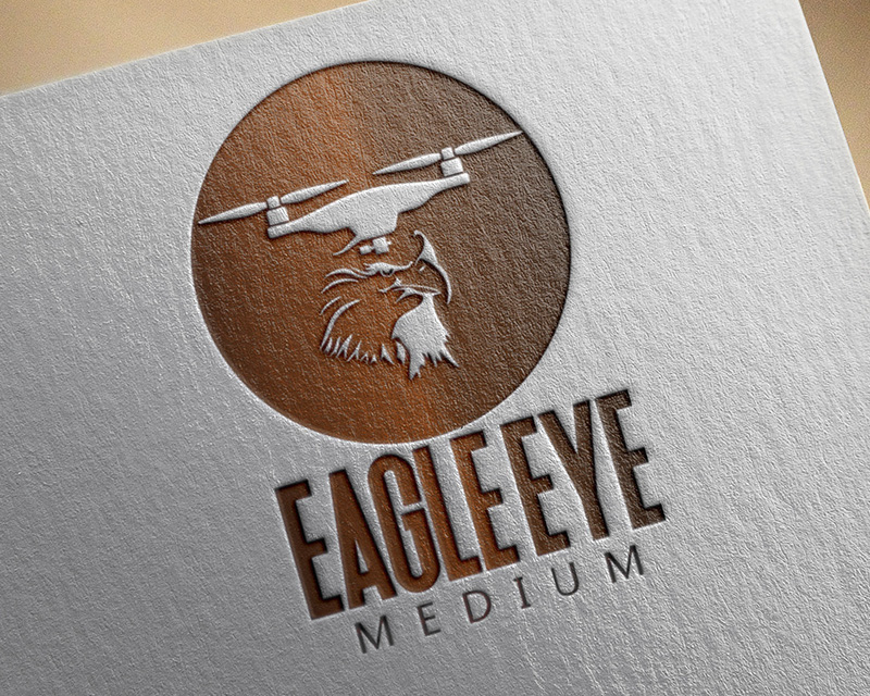 Logo Design Entry 1228322 submitted by ekreative to the contest for Eagle Eye Medium run by eagleeye
