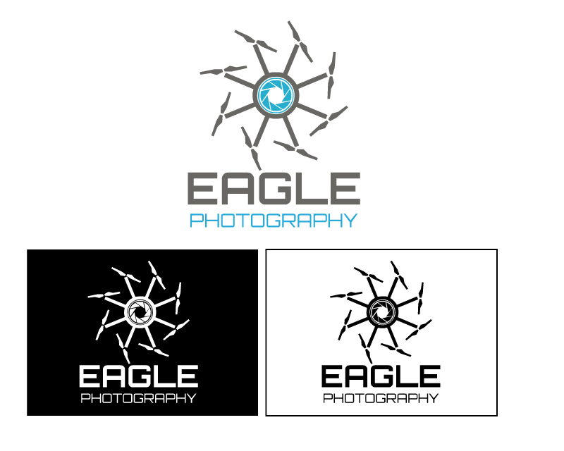 Logo Design Entry 1239508 submitted by boycoll to the contest for Eagle Photography run by schickb