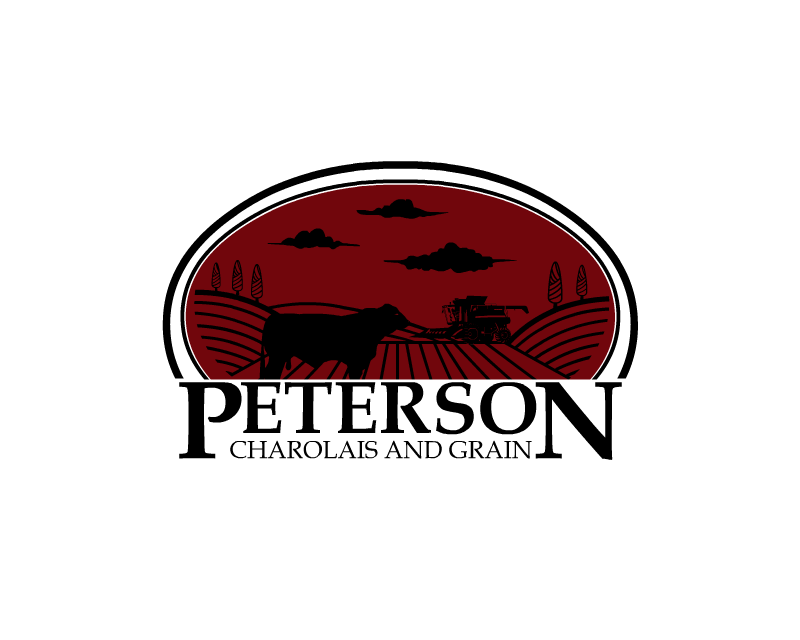 Logo Design Entry 1277186 submitted by boycoll to the contest for Peterson Charolais and Grain run by jpshostr