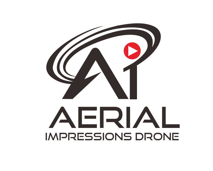 Logo Design Entry 1303459 submitted by ronnysland to the contest for Aerial Impressions Drone Imagery run by InforGuy