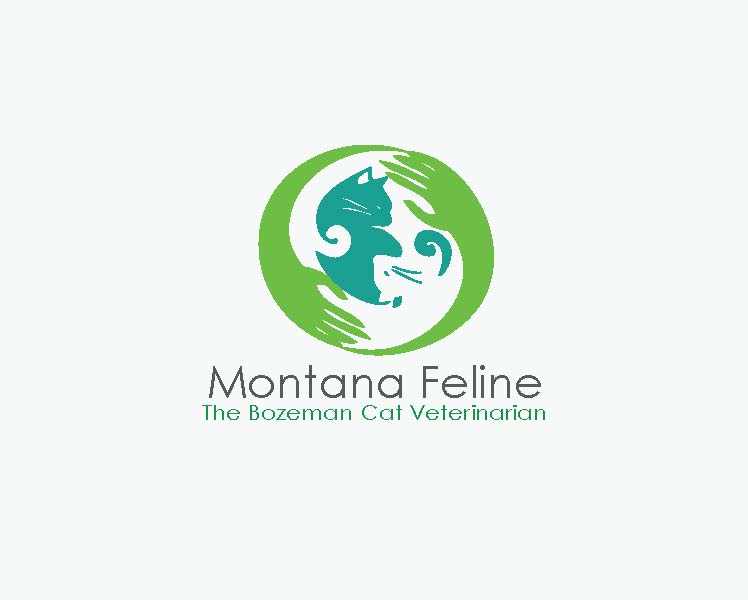 Logo Design entry 1433503 submitted by khekong