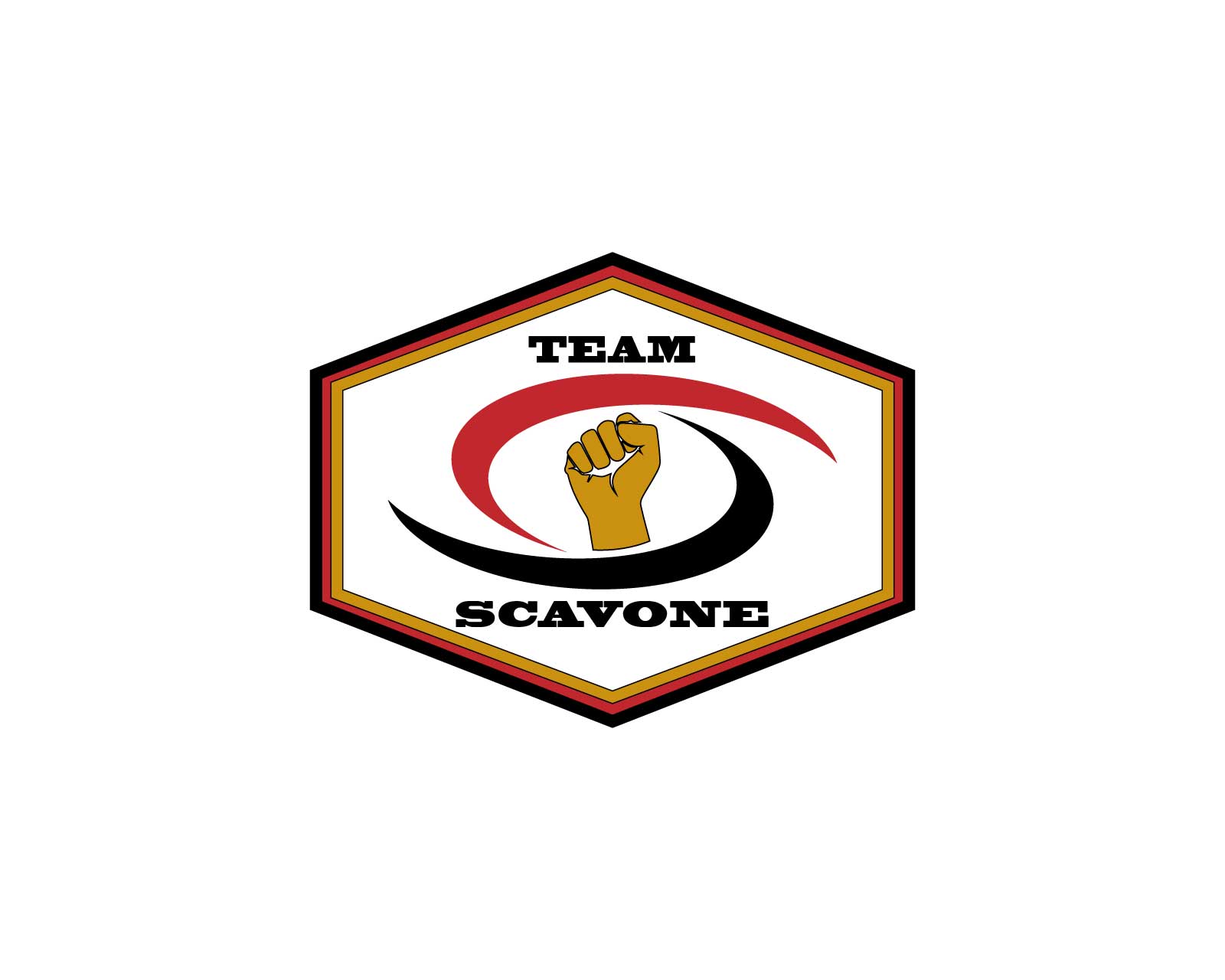 Logo Design Entry 1403449 submitted by assa to the contest for Arena Combat - Team Scavone run by Scavone1983