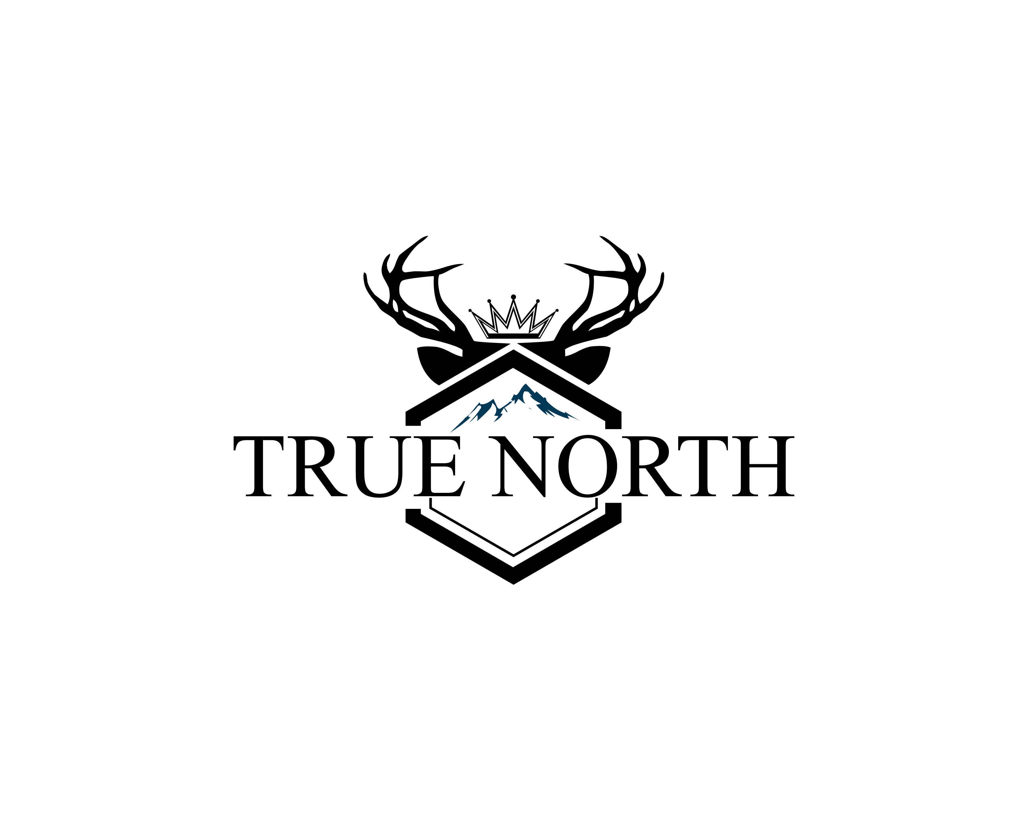 Logo Design Entry 1509432 submitted by idnas01 to the contest for TRUE NORTH run by IrfanNakhuda