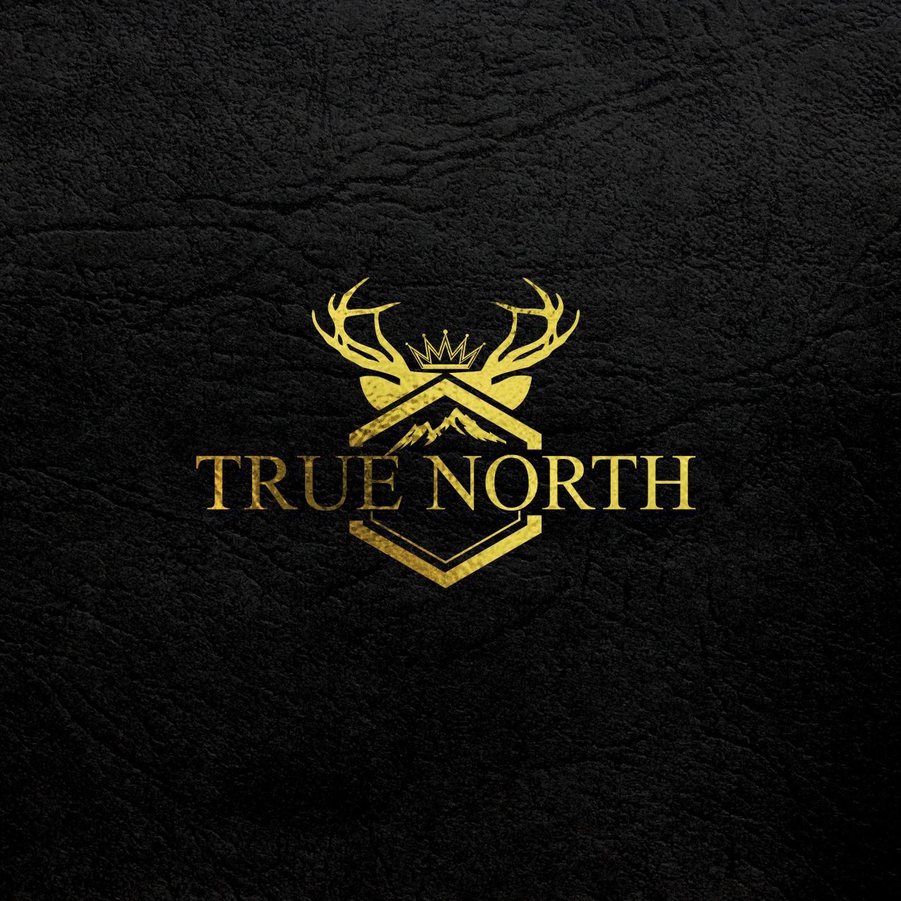 Logo Design entry 1509435 submitted by bcmaness to the Logo Design for TRUE NORTH run by IrfanNakhuda